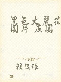 黑色大丽花真实图片 原图