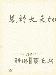 凤于九天txt