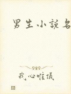 男生小说名字