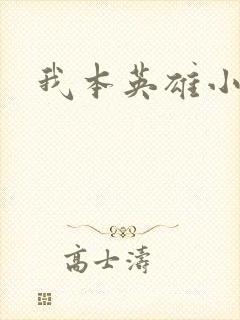 我本英雄小说