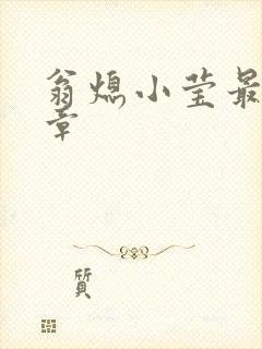 翁熄小莹最新节章