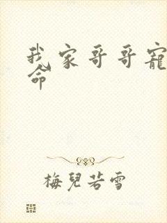 我家哥哥宠妹如命