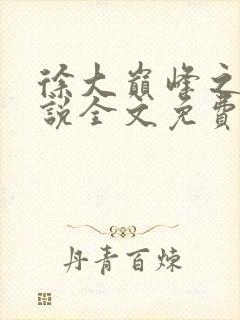 徐大巅峰之路小说全文免费阅读