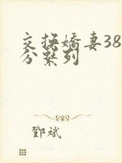 交换娇妻38部分系列