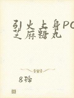 引火上身POP芝麻糖丸