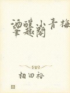 酒酿小青梅po笔趣阁