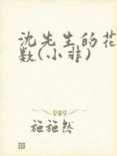 沈先生的花式调数(小非)