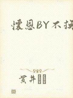 怀恩BY不换