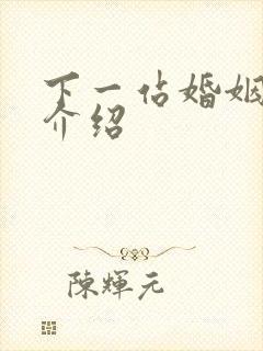 下一站婚姻剧情介绍