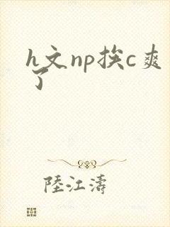 h文np挨c爽了