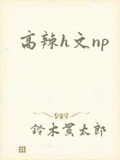 高辣h文np