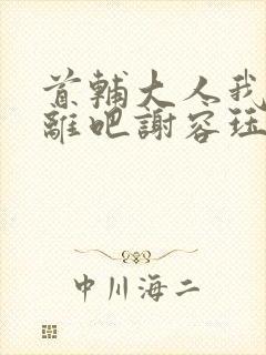 首辅大人我们和离吧谢容珏