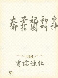 太子妃和皇帝在御花园叫什么小说