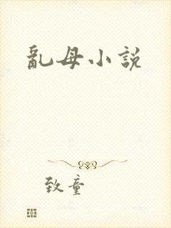 乱母小说