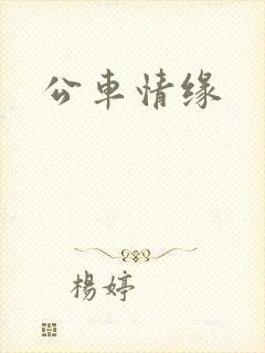公车情缘