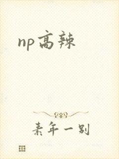 np高辣