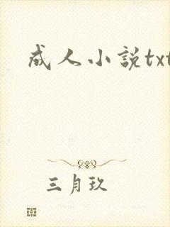 成人小说txt