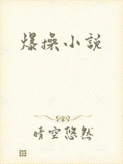 爆操小说