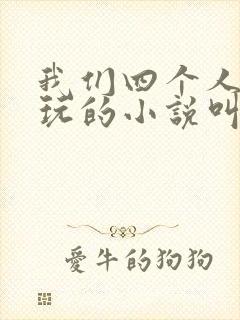 我们四个人换着玩的小说叫什么