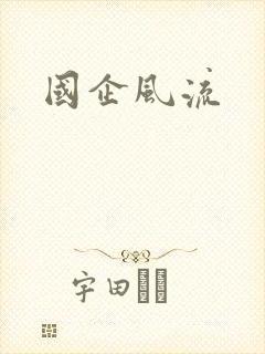 国企风流