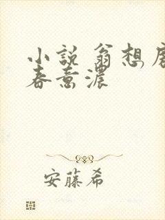 小说 翁想房中春意浓