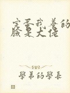 完蛋我养的小白脸是大佬