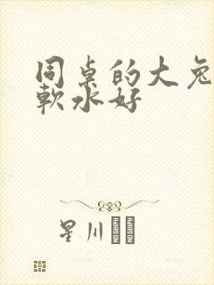 同桌的大兔子好软水好