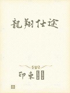 龙翔仕途