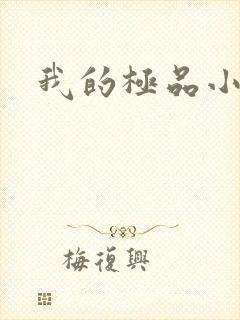 我的极品小姨