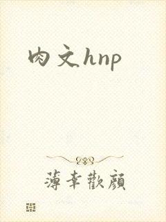 肉文hnp