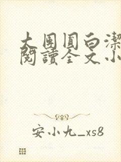 大团圆白洁免费阅读全文小说