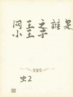 网王之谁是我的小王子