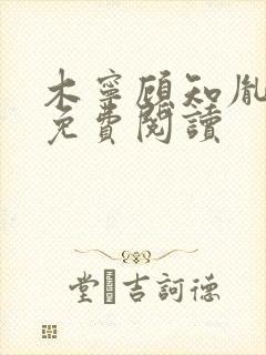 木宁顾知胤小说免费阅读