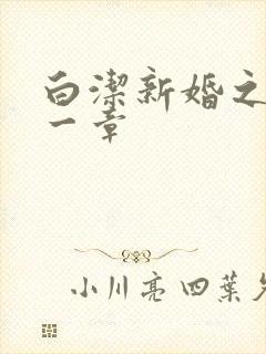 白洁新婚之夜第一章