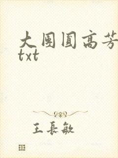 大团圆高芳小说txt