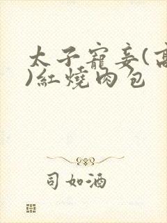 太子宠妾(高肉)红烧肉包