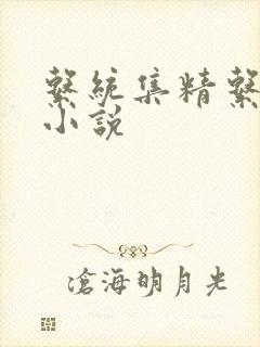 系统集精系统 小说