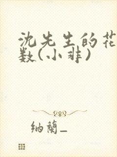 沈先生的花式调数(小非)