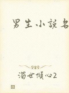 男生小说名字