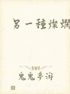 另一种灿烂生活