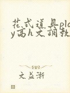 花式道具play高h文调教