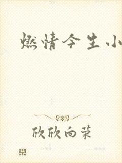 燃情今生小说