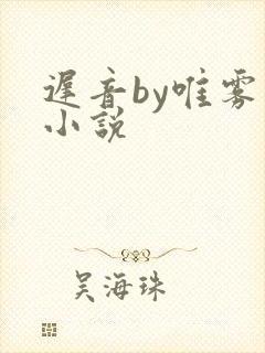 迟音by唯雾的小说