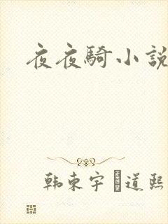夜夜骑小说