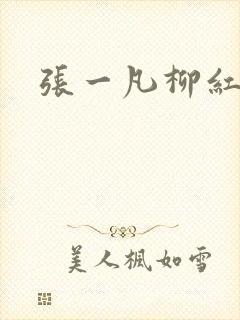 张一凡柳红