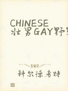 CHINESE壮男GAY野战强迫TUBE