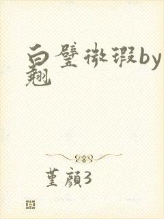 白璧微瑕by连翘