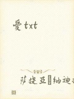 爱txt