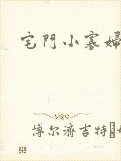 宅门小寡妇