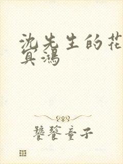 沈先生的花式调冥鸿